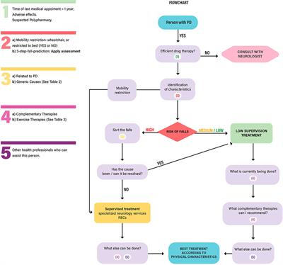 Primary care for people with Parkinson's disease in Brazil: A referral flowchart based on risk of falls